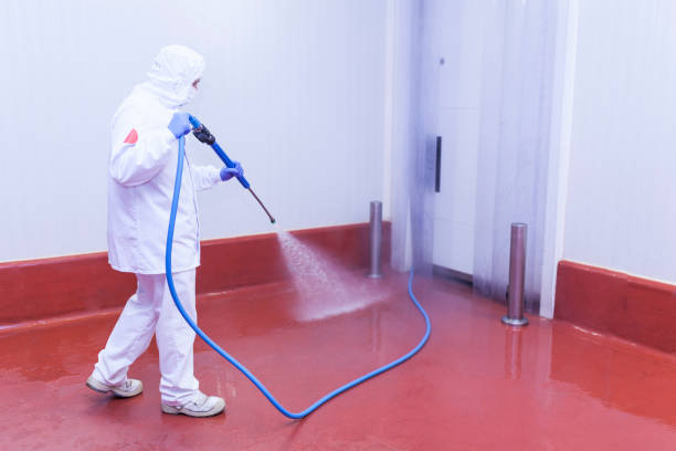 Longboat Key, FL Pressure Washing Services Company