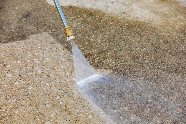 Best Driveway Pressure Washing  in Longboat Key, FL